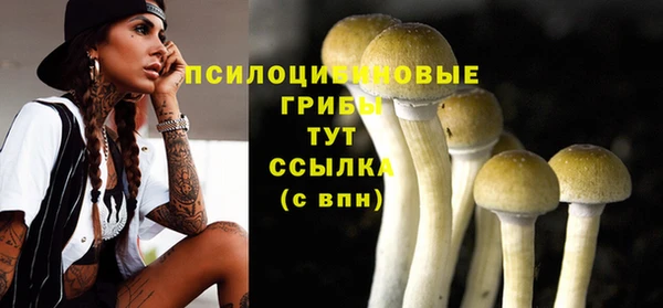 ешки Гусиноозёрск
