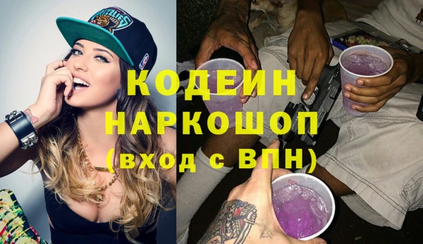 PSILOCYBIN Гусь-Хрустальный