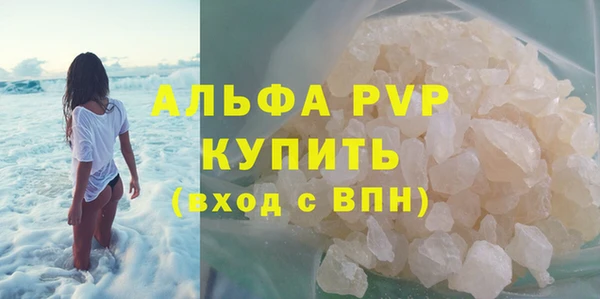 spice Гусев