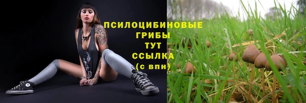 гидра Горняк