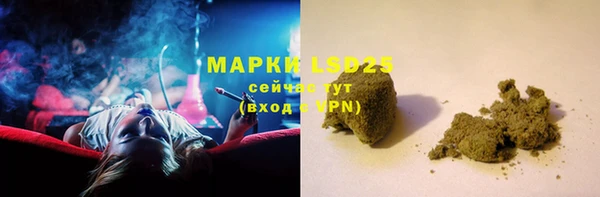 PSILOCYBIN Гусь-Хрустальный