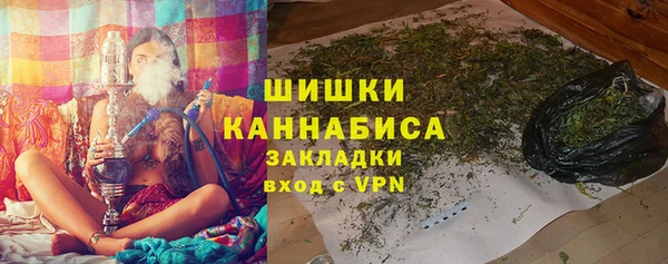 spice Гусев
