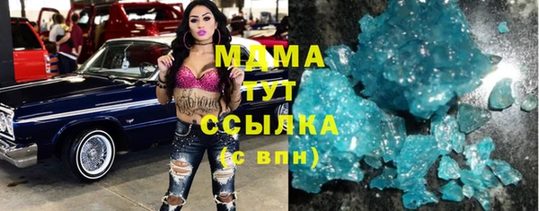 spice Гусев