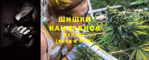 PSILOCYBIN Гусь-Хрустальный