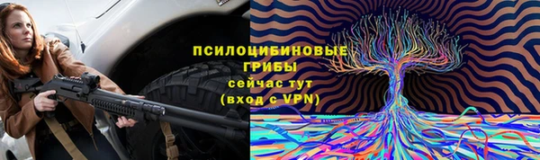 spice Гусев