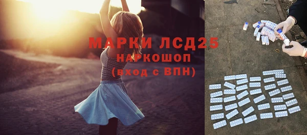 spice Гусев